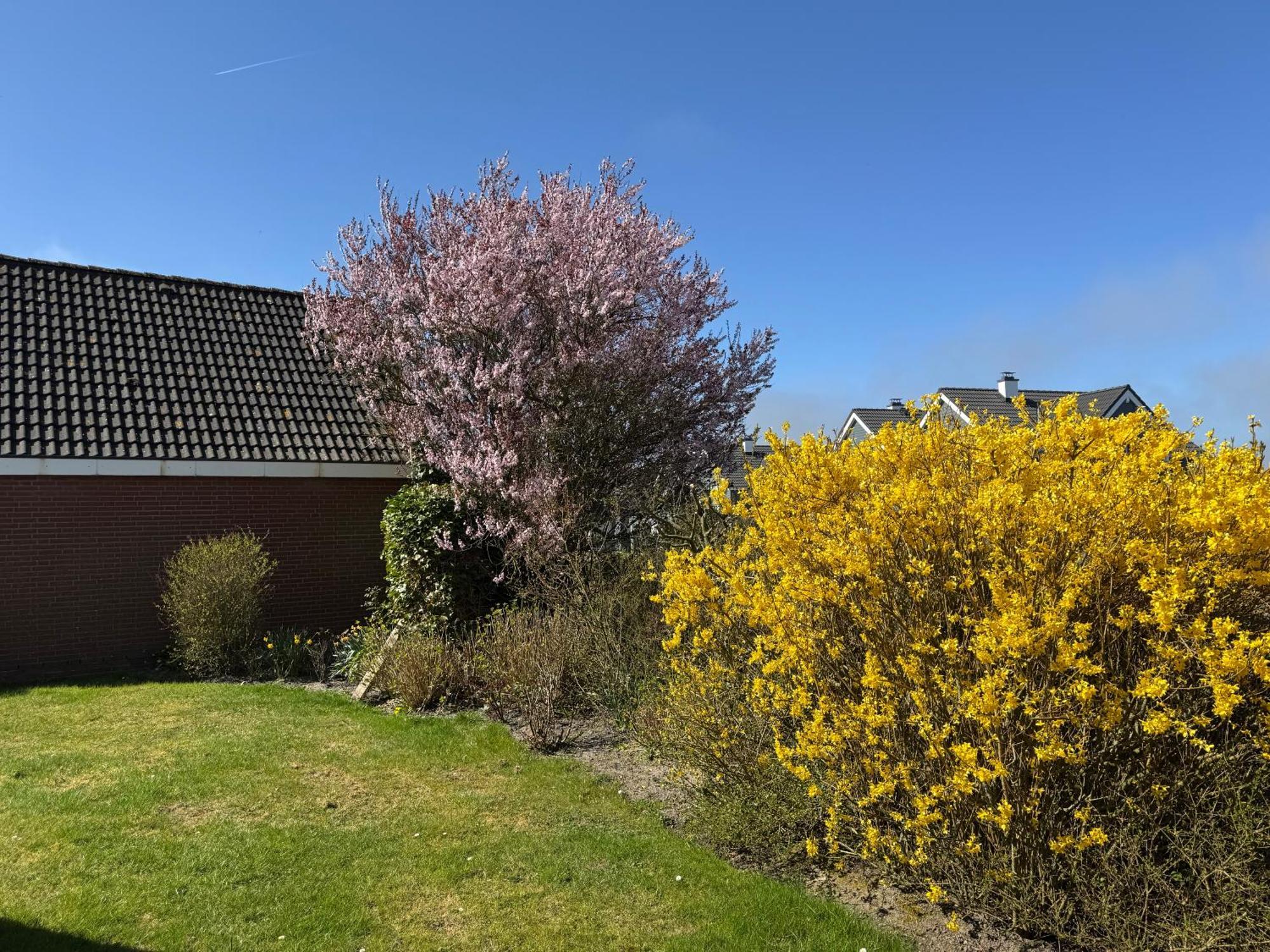 Haus Nordstrand Busum Room photo