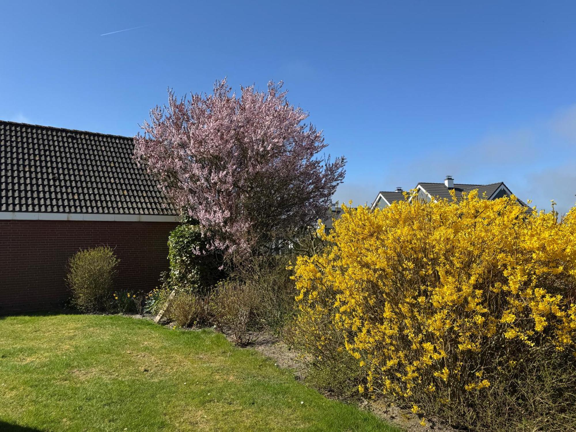 Haus Nordstrand Busum Exterior photo